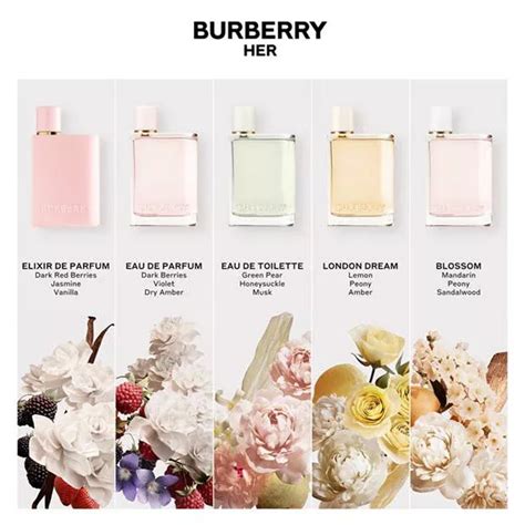 standardgröße burberry|burberry her fragrance.